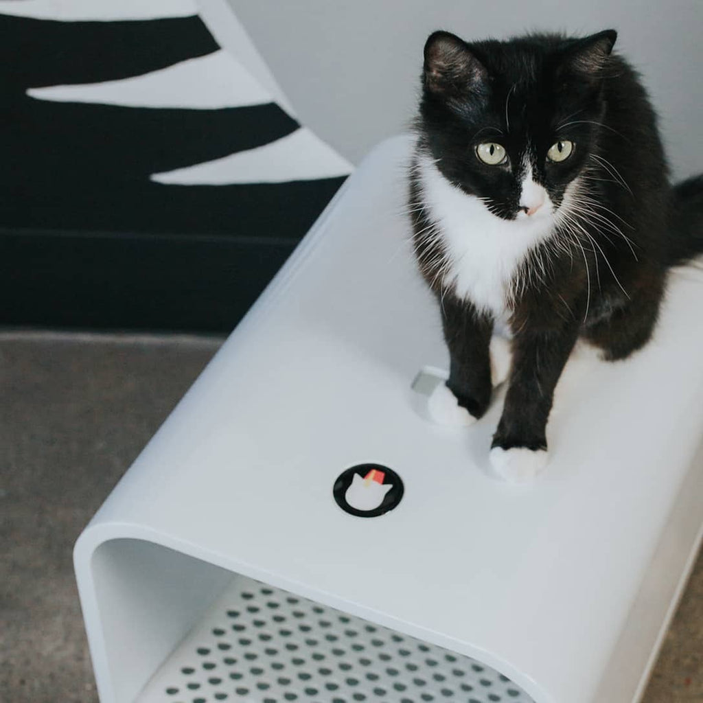 The Grand PooBox — “No. 2”